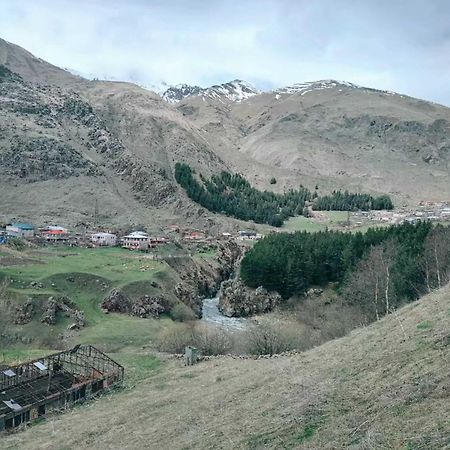 Vardisubani Villa Stepancminda Exteriér fotografie